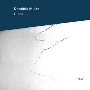 Dominic Miller_Diana_Cover-web